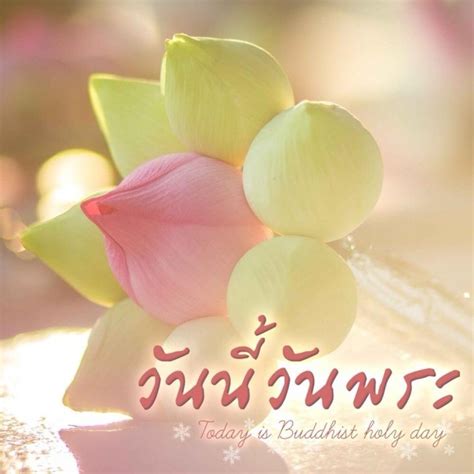 วันพระ 2564 ปฏิทินวันพระ 2564/ 2021 ปฏิทินวันพระตลอดปี 2564 วันธรรมสวนะหรือวันอุโบสถ ได้แก่ วันขึ้น ๘ ค่ำ, วันวันเพ็ญขึ้น ๑๕ ค่ำ , วันแรม ๘ ค่ำ และวันแรม ๑๕. วันนี้วันพระ!!!แรม 14 ค่ำ เดือน 1 ปีระกา