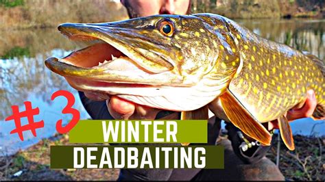 Pike Fishing Gravel Pit Deadbaiting Part 3 Overdepth Float And