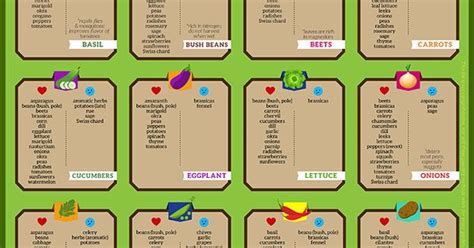 Companion Planting Friend Or Foe Planting Infographic And Gardens