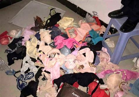 Lingerie Thief Caught After 2000 Panties And Bras Fall From Ceiling