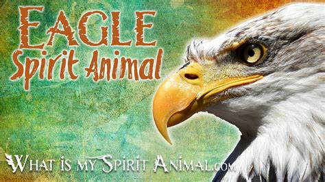 Eagle Spirit Animal Eagle Totem Power Animal Eagle Symbolism