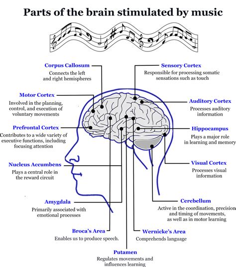 The Healing Effects Of Music On The Brain Musicenergetics