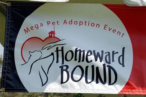 Hundreds Of Dogs And Cats Find New Homes At The 2013 Homeward Bound