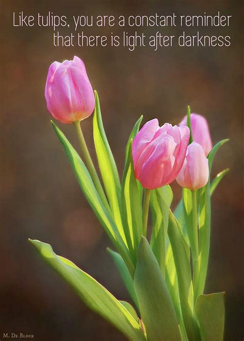 * you believein god, for your part?—ay? Pink Tulips with Quote Greeting Card Photograph by Marilyn DeBlock