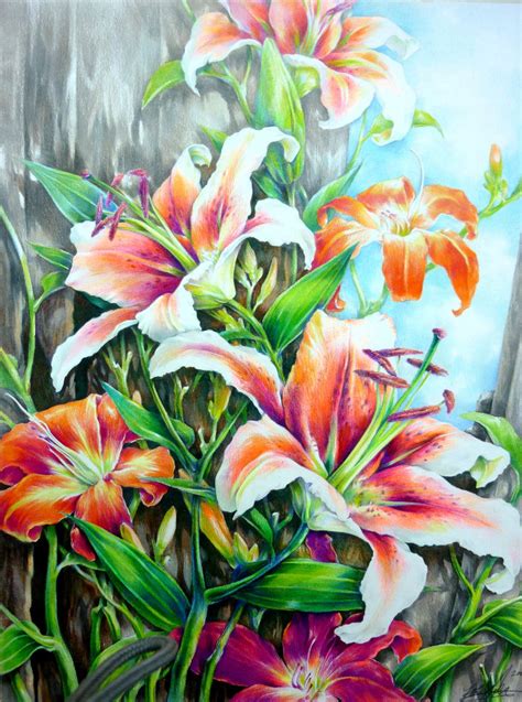 Originallilies Colored Pencil Drawing By Paintingkim On Etsy Flower