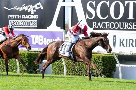 Railway Stakes 2021 Tips Odds Field And Results Racenet