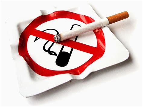 Cara Pencegahan Dan Berhenti Merokok Seputar Kesehatan Dan Keperawatan