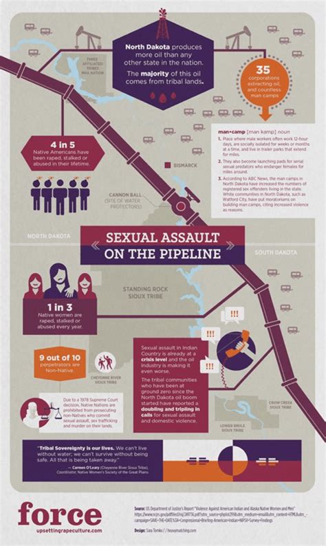 Sexual Assault On The Pipeline Infographic
