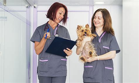 We love pets too and want to help them enjoy long healthy lives. Vet Nurses & Technicians - Boost Your Career In 9 Steps ...