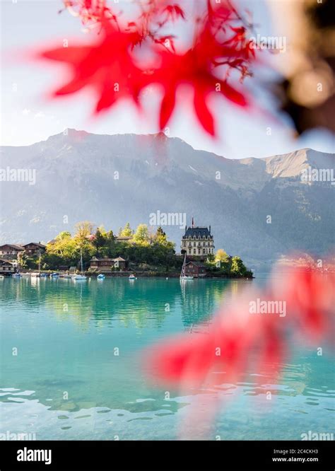 View Of Schloss Seeburg Iseltwald In Turquoise Lake Brienz Stock Photo