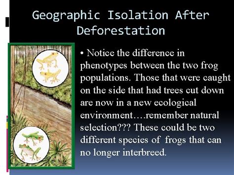 Geographic Isolation And Speciation What Is A Species