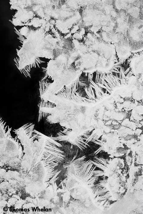 Ice Crystals By Thomas Whelan Ice Crystals Nature Abstract Artwork