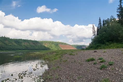 The Sandy Bank Of The River Affluent Of Yenisey River Stock Image