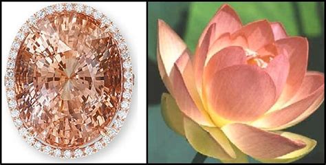 Padparadscha A Marriage Of Sunsets And Lotus Flowers Elizabeth Jewellers