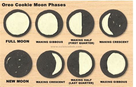 Lights Camera Learn Oreo Moon Phase