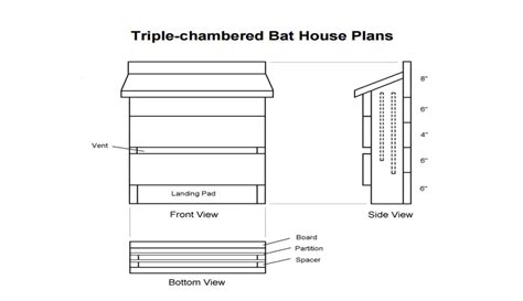 How To Make A Bat House And Get Rid Of Those Bugs And Insects The Diy Life