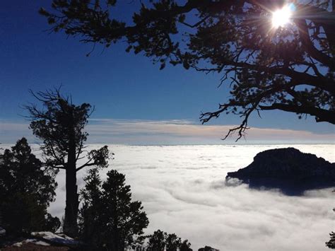 Every 10 Years A River Of Fog Fills The Grand Canyon Grand Canyon