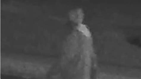 toronto police release image video of suspect in sex assault robbery cbc news