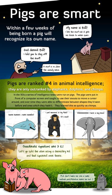5 Reasons Pigs Are More Awesome Than You The Oatmeal