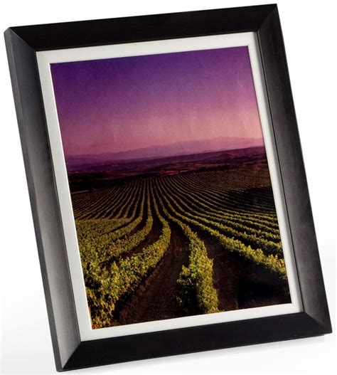 8 X 10 Matted Picture Frame Portrait Or Landscape Displaying