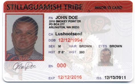 Where do i apply for a wa state id card or driver's license? Tribal ID Cards as Identification | Washington State Liquor and Cannabis Board