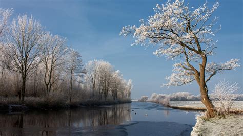 Winter Trees Snow River Phone Wallpapers