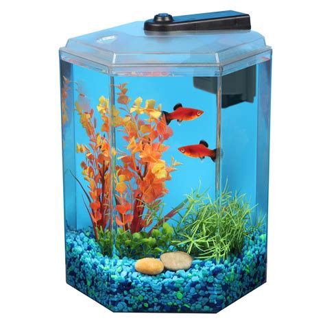 20 Gallon Hexagon Fish Tank Petsmart