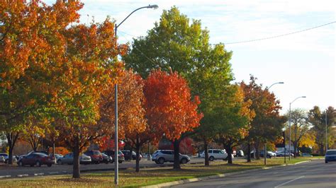 Topekas Autumn Trees Along Sw Topeka Blvd Fade Color As A Flickr