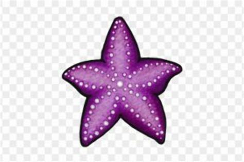 Download High Quality Starfish Clipart Purple Transparent Png Images