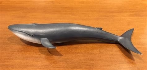 Blue Whale Sealife By Collecta Animal Toy Blog