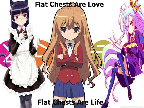 Flat Chested Anime Girls Well I Would Suggest You Watch Some Anime I