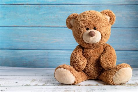Teddy Bear Day Preschool And Daycare Serving Round Rock Texas