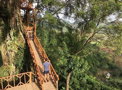 Yuk simak pilihan tempat wisata di bogor. 24 Tempat wisata di Bogor yang paling kekinian dan Instagramable | merdeka.com