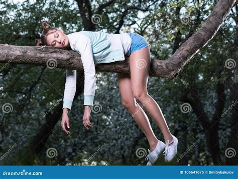 Wild Fatigue Beautiful Young Woman Sleeping On A Tree Branch Keeps