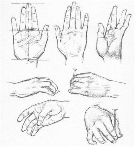 Comment Dessiner Des Mains