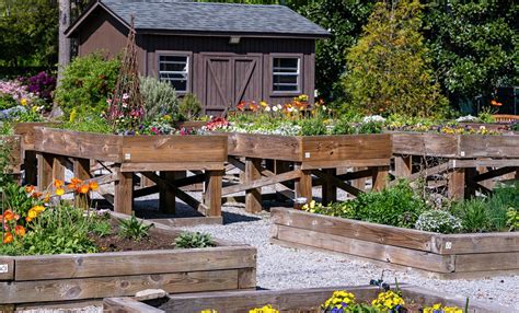 7 Reasons For Community Gardens In Senior Living