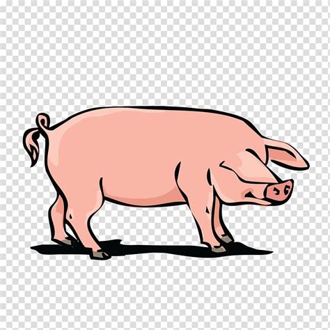 Clipart Pork 20 Free Cliparts Download Images On Clipground 2024