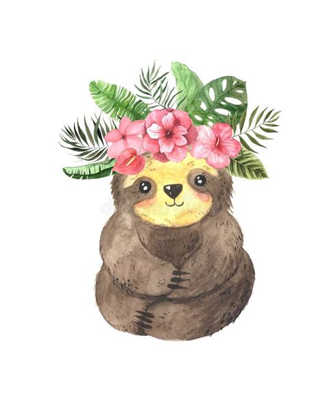 Watercolor Hand Painted Cute Sloths Stock Illustration Illustration