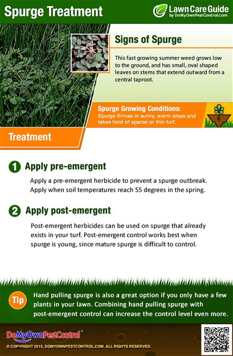 How to do your own pest control. How To Kill & Get Rid of Spurge Weed - Treatment & Control