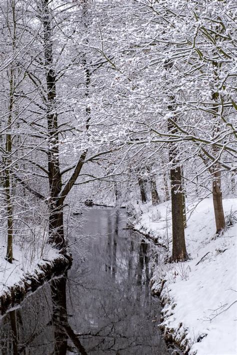 Winter Snow River Stream Forest Snowfall Scenery Dramatic Germany Tree