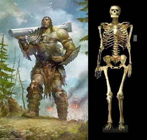 the ancient giants who ruled the earth nephilim giants ancient aliens giant skeleton