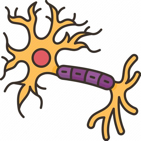 Neuron Nerve Synapse Neuroscience Brain Icon Download On Iconfinder