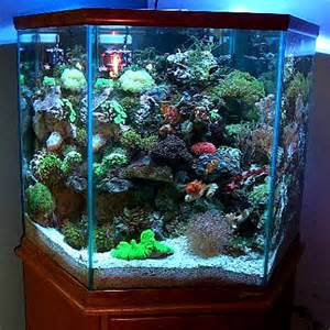 100 Gallon Fish Tank? Read this because it could save your life!