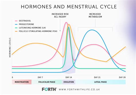 What Are The Normal Progesterone Levels In Women