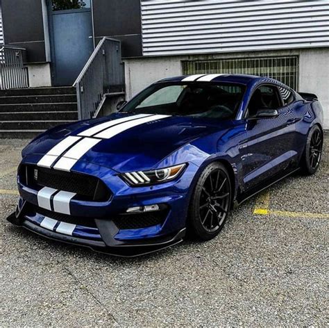 Pin By Sofy On Mustang Mustang Shelby Ford Mustang Car Ford Mustang