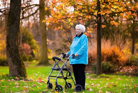 ¿por Qué Dejan De Caminar Los Ancianos Gransliving