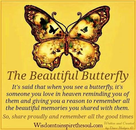 The Beautiful Butterfly Quotes And Inspirations Pinterest