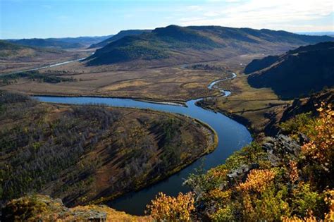 Onon River Aardvark Mcleod