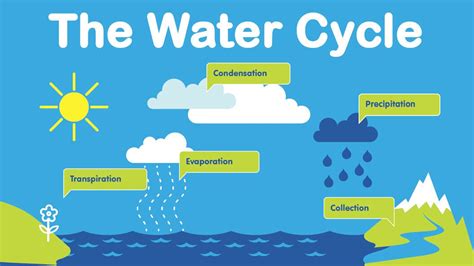 Lets Learn About The Water Cycle