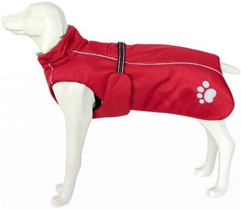 5 Best Waterproof Dog Coats With Chest And Belly Protection Top Picks